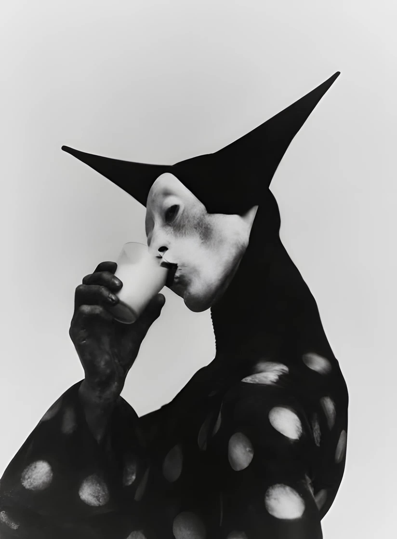 Midnight Milk — Полночное молоко